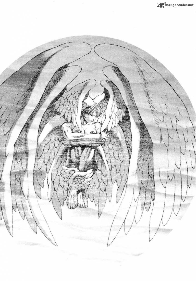 Amon 6 12
