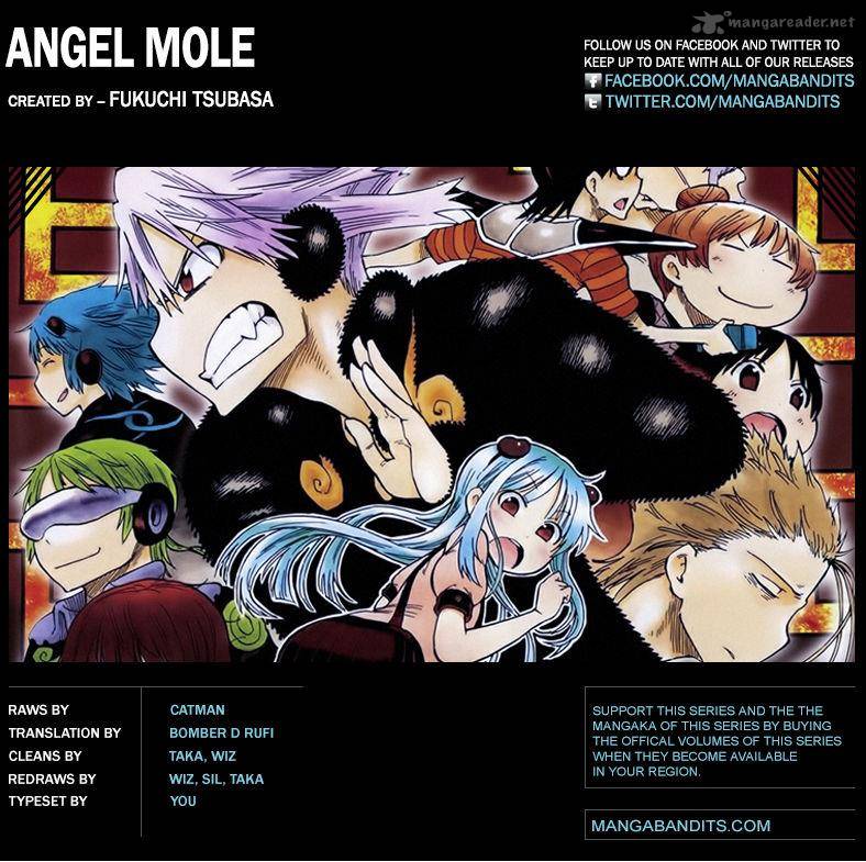 Anagle Mole 46 21