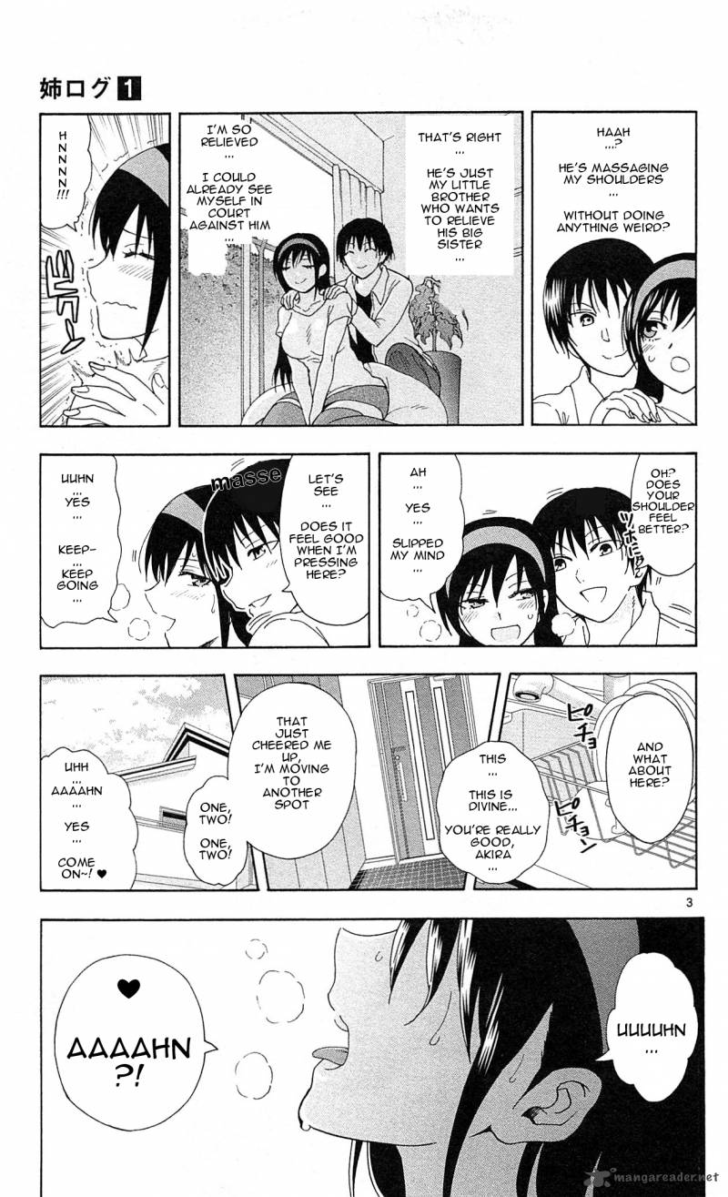 Ane Log 16 4