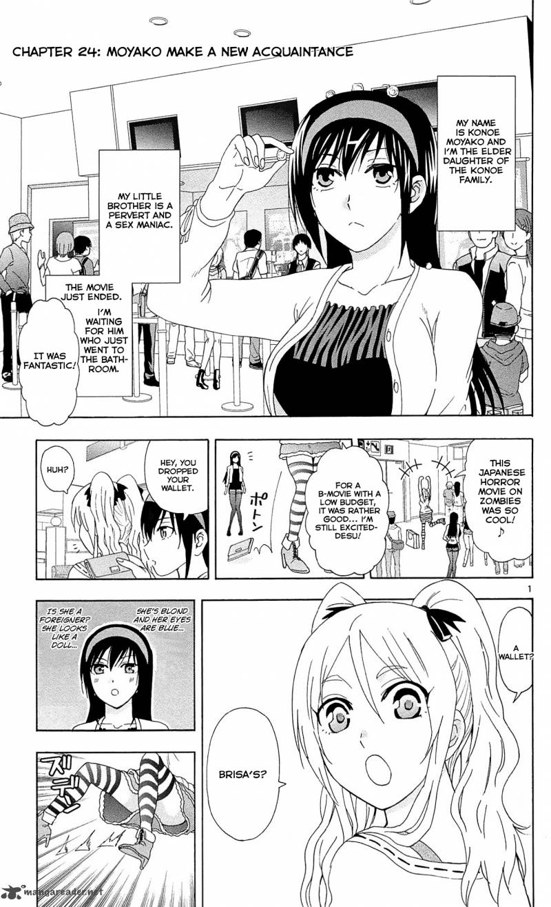 Ane Log 24 2