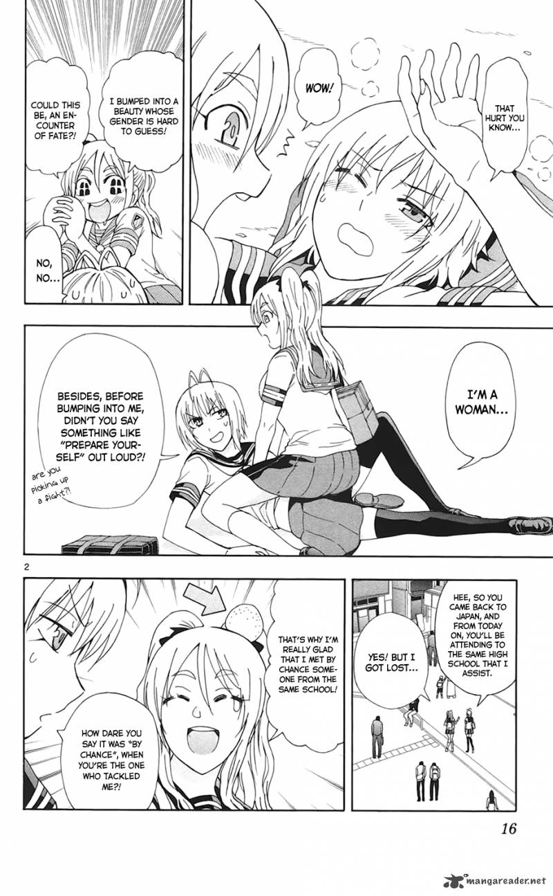 Ane Log 28 3