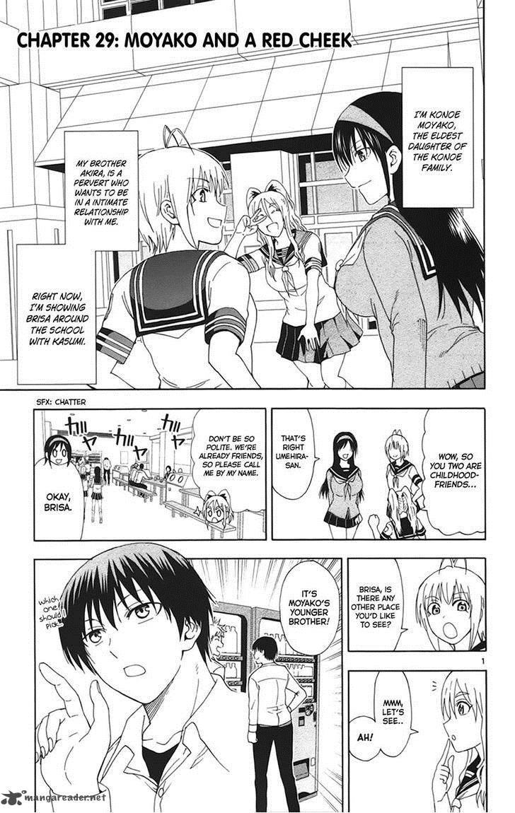 Ane Log 29 1
