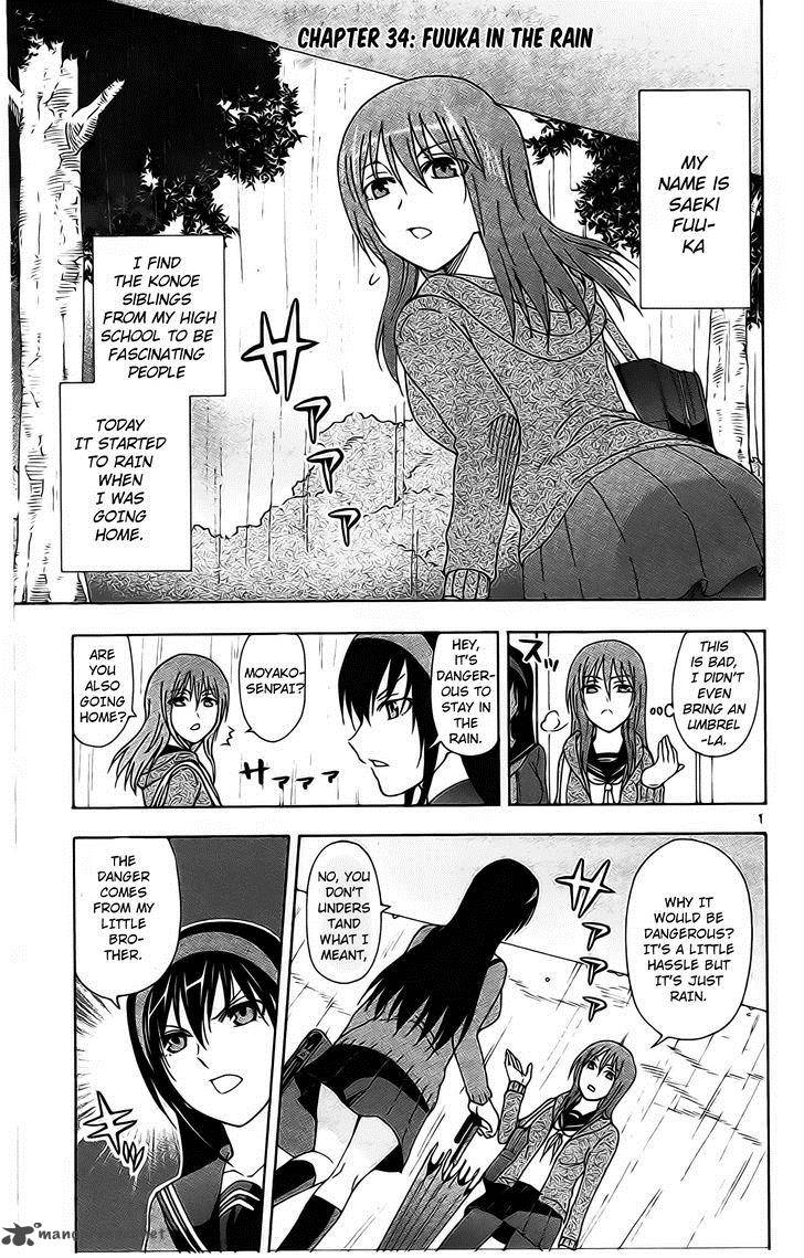 Ane Log 34 3
