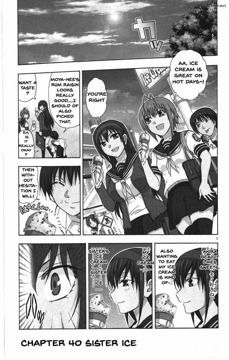 Ane Log 40 4