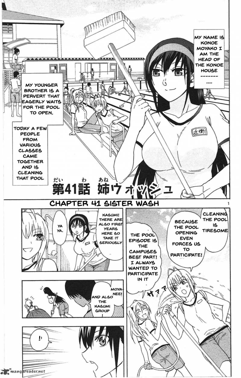Ane Log 41 2