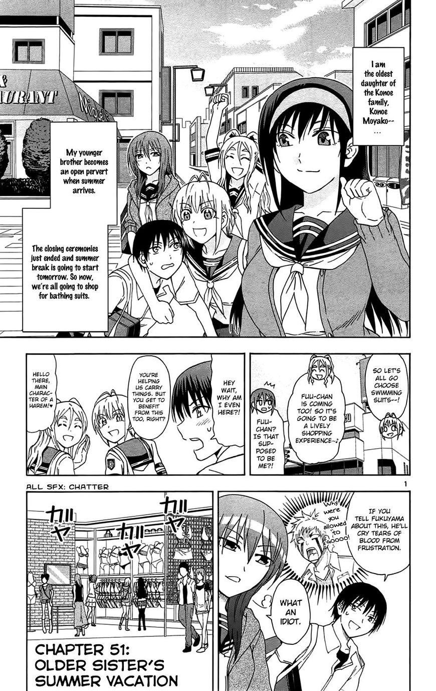 Ane Log 50 2