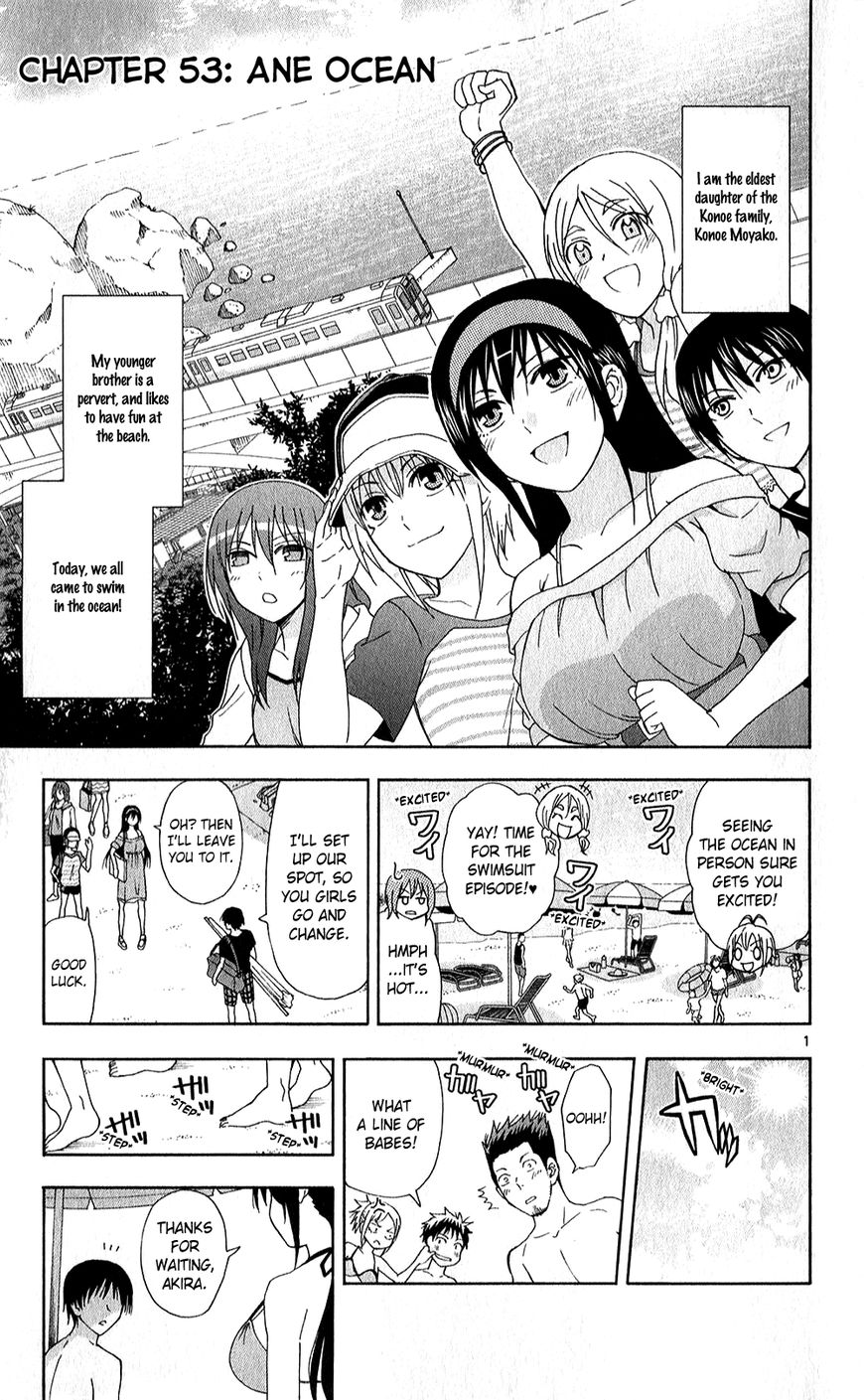 Ane Log 53 3