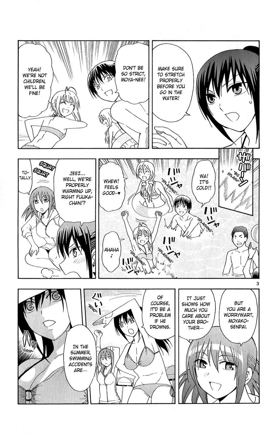 Ane Log 53 5