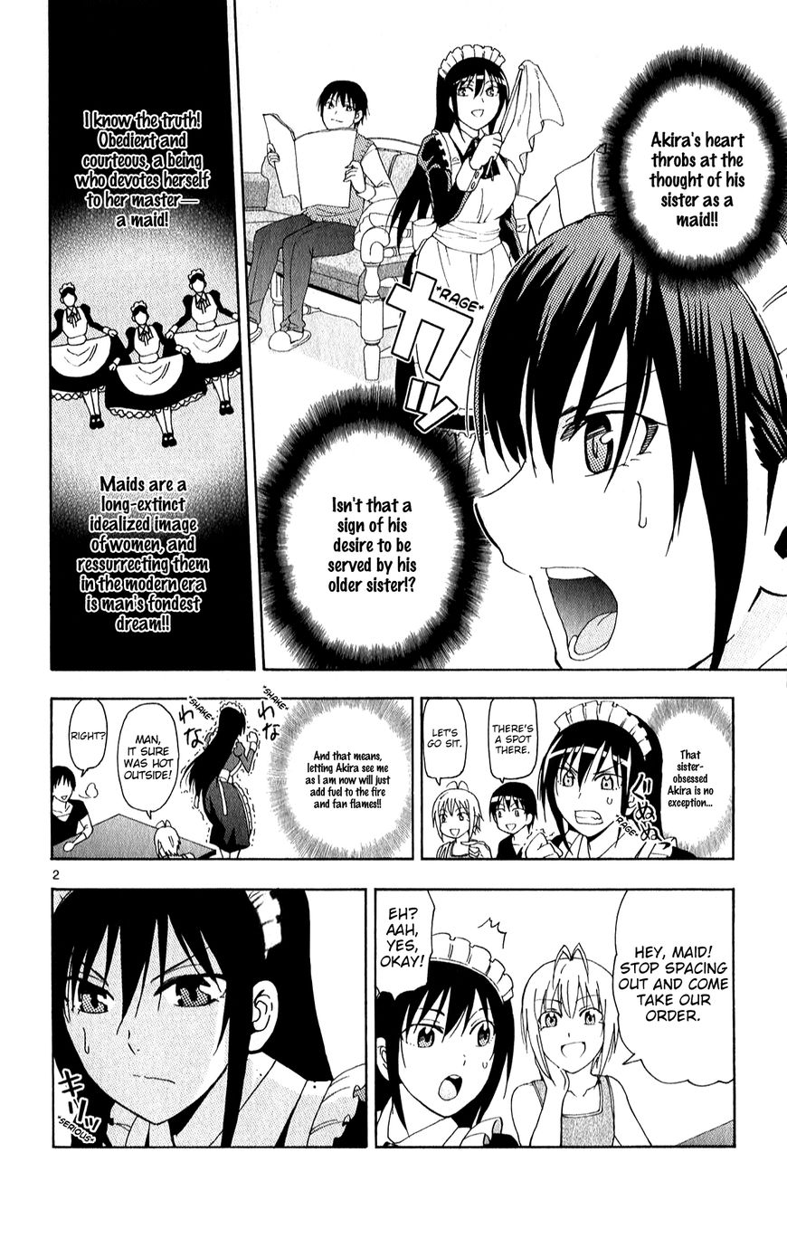 Ane Log 56 3