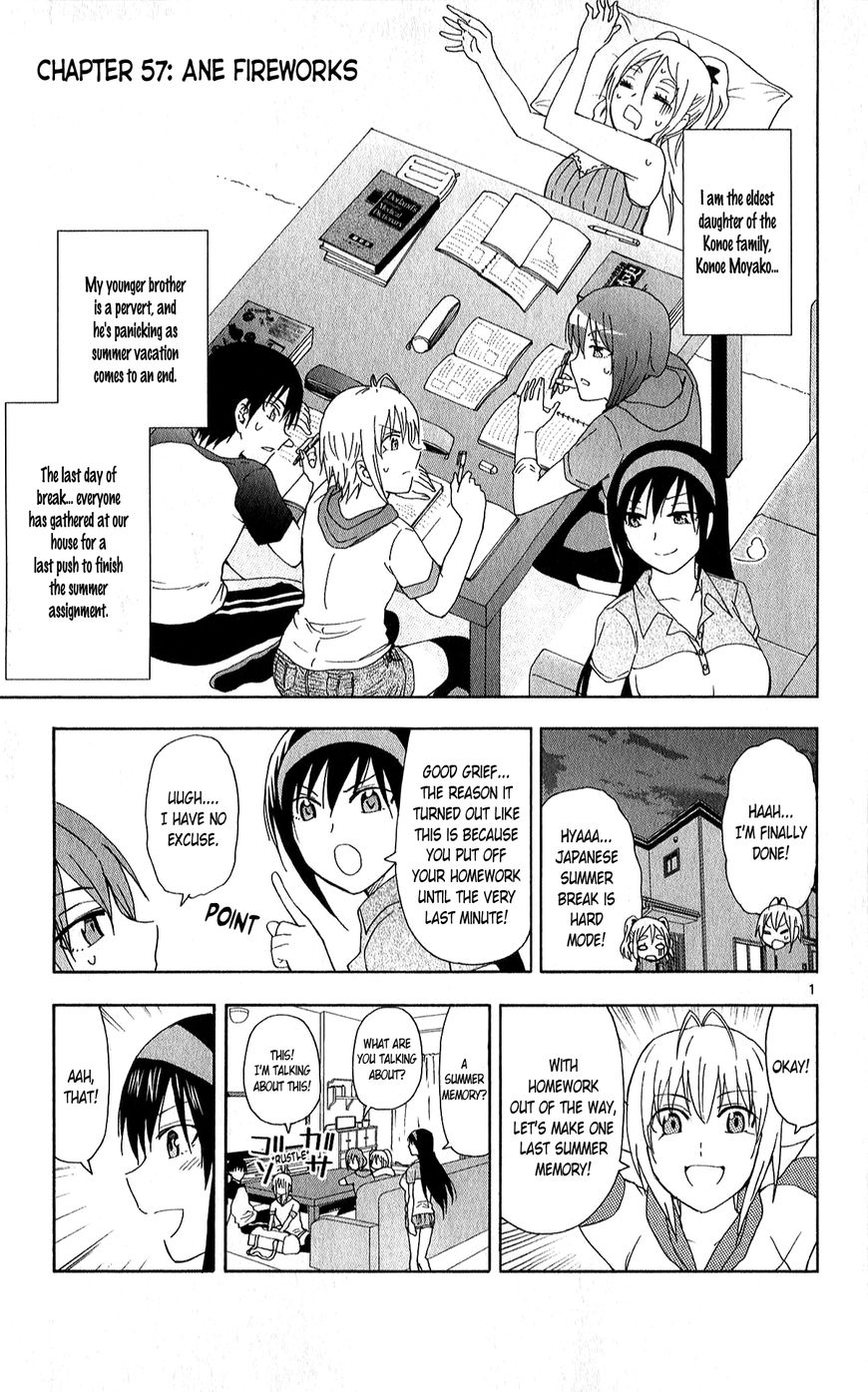 Ane Log 57 2