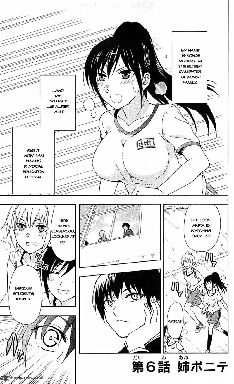 Ane Log 6 4