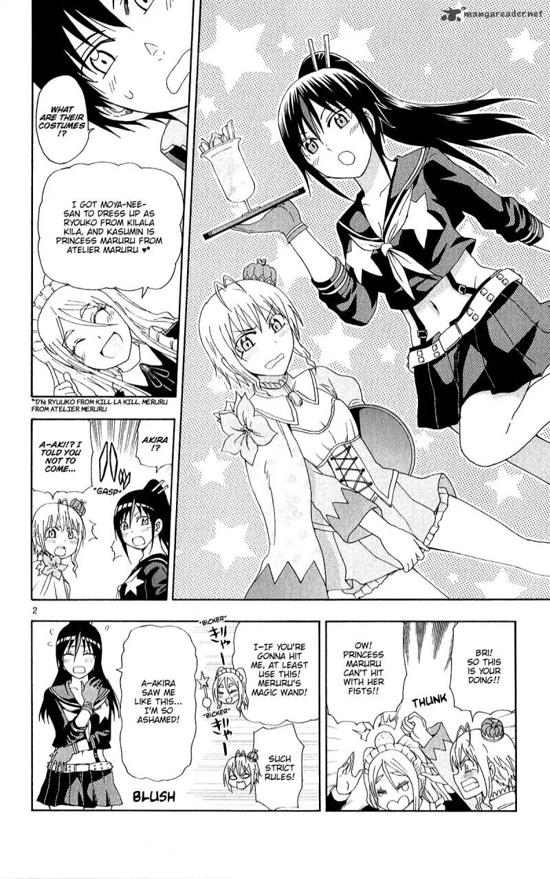 Ane Log 70 5