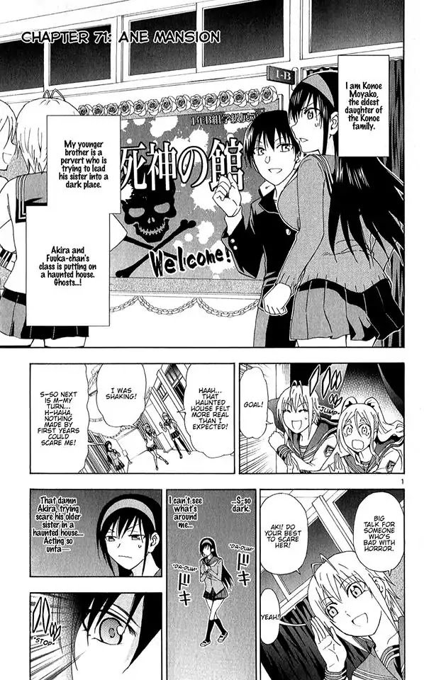 Ane Log 71 4