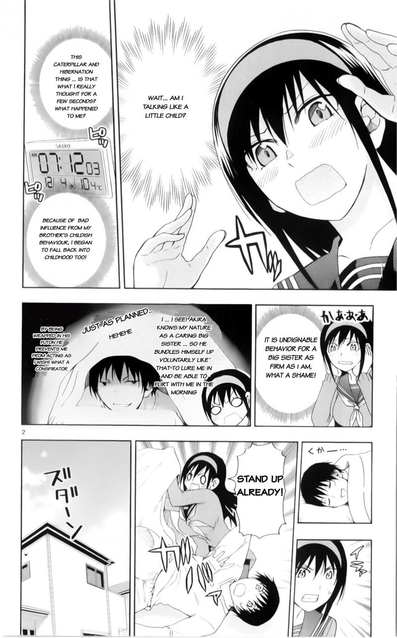 Ane Log 79 5