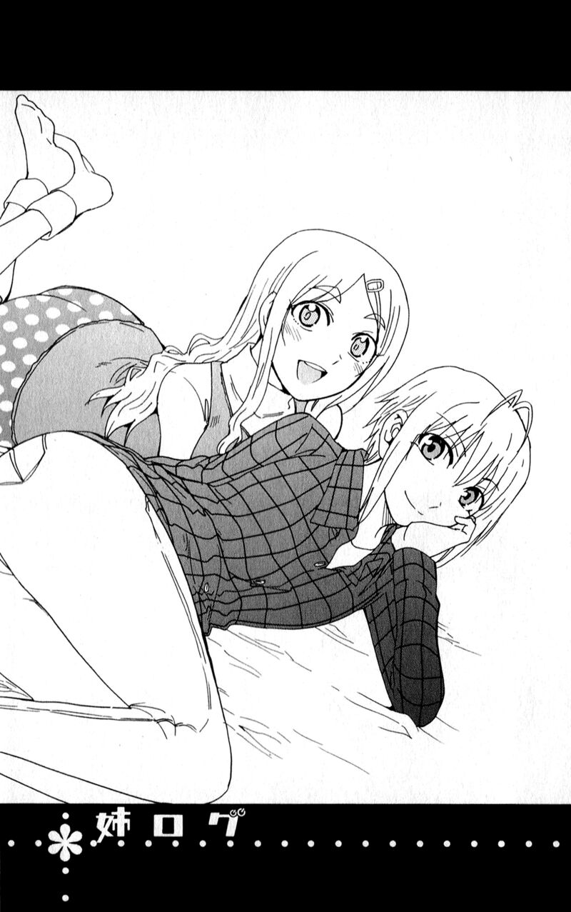 Ane Log 90 8