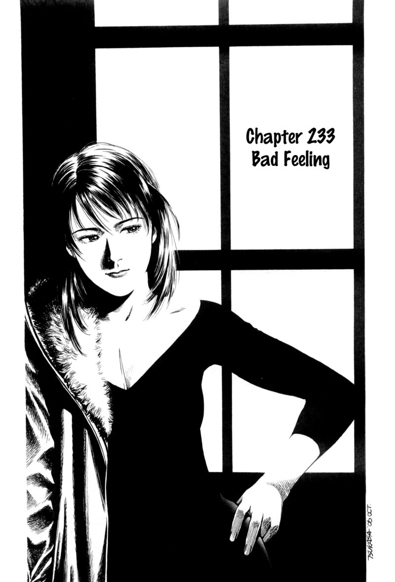 Angel Heart 233 1