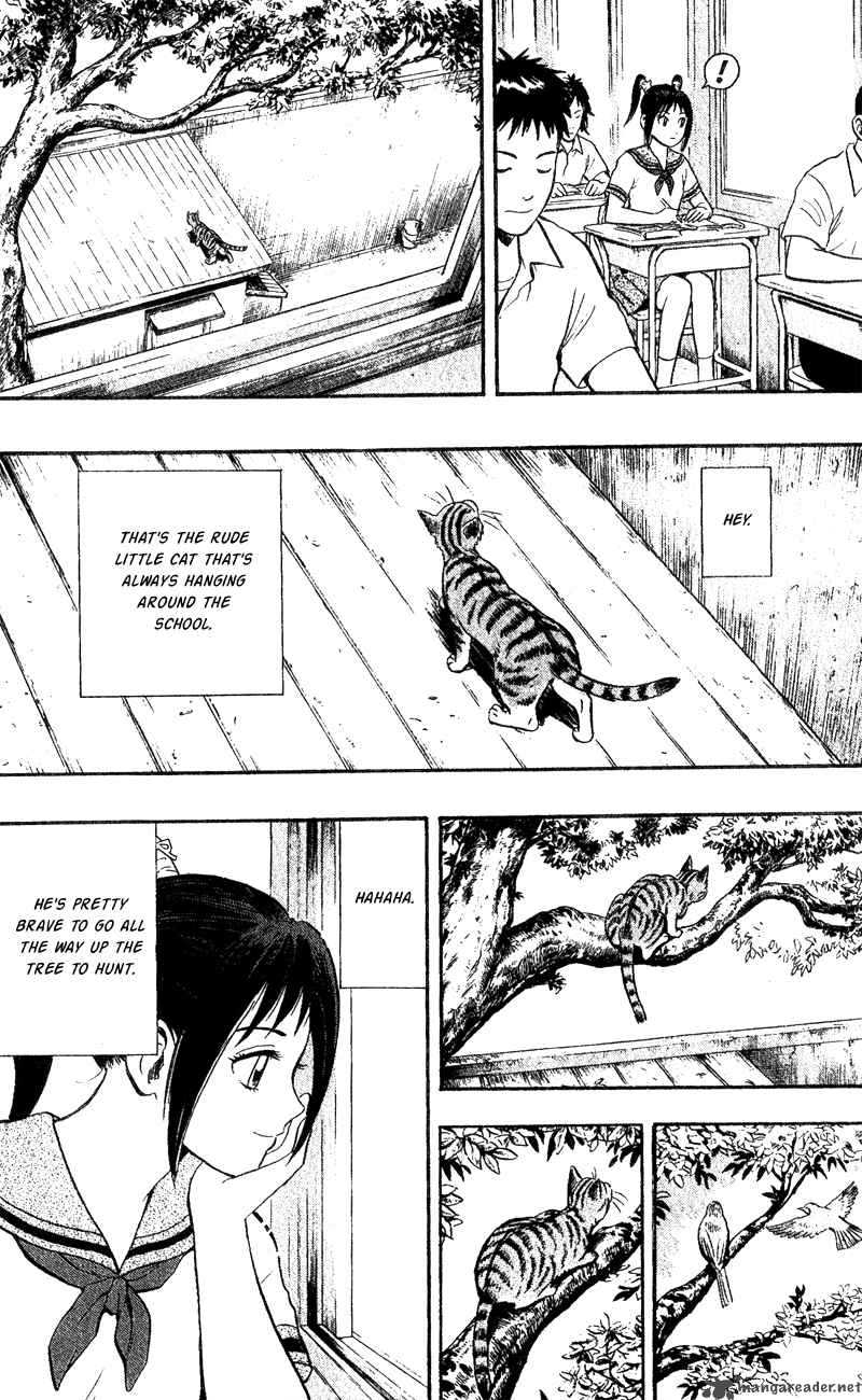 Animal Sense 1 12