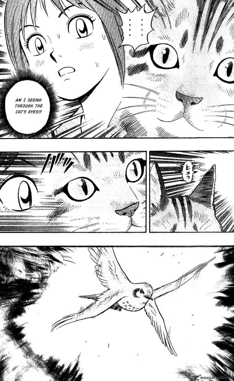 Animal Sense 1 15