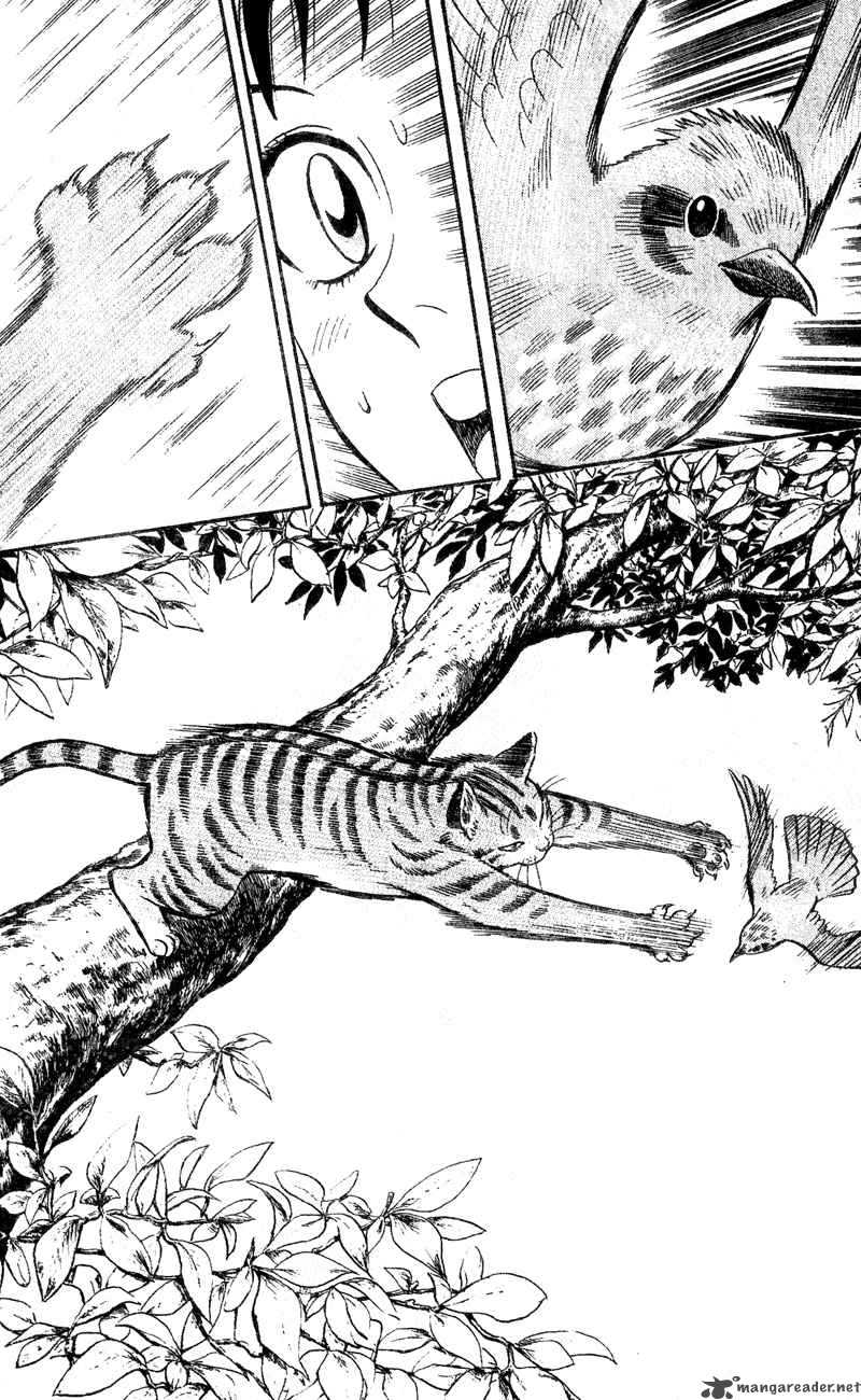 Animal Sense 1 16