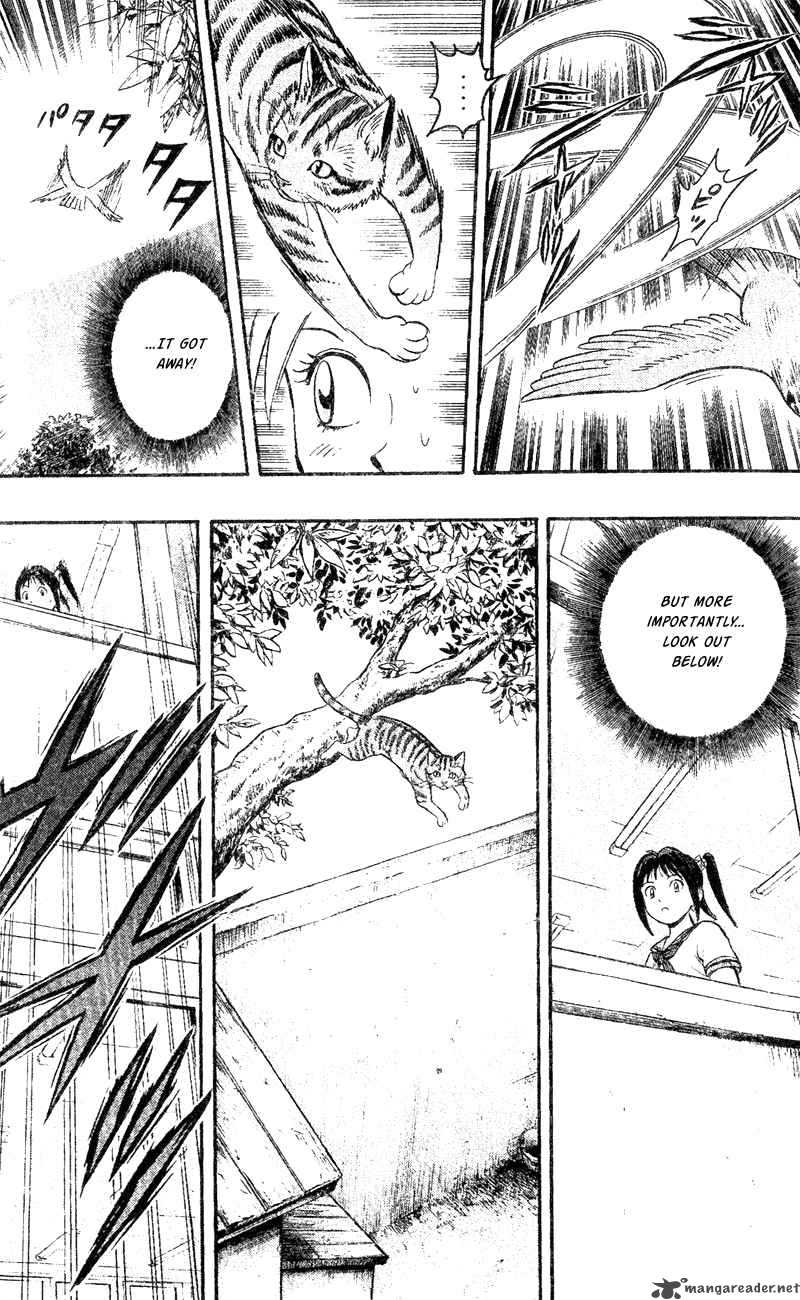 Animal Sense 1 17