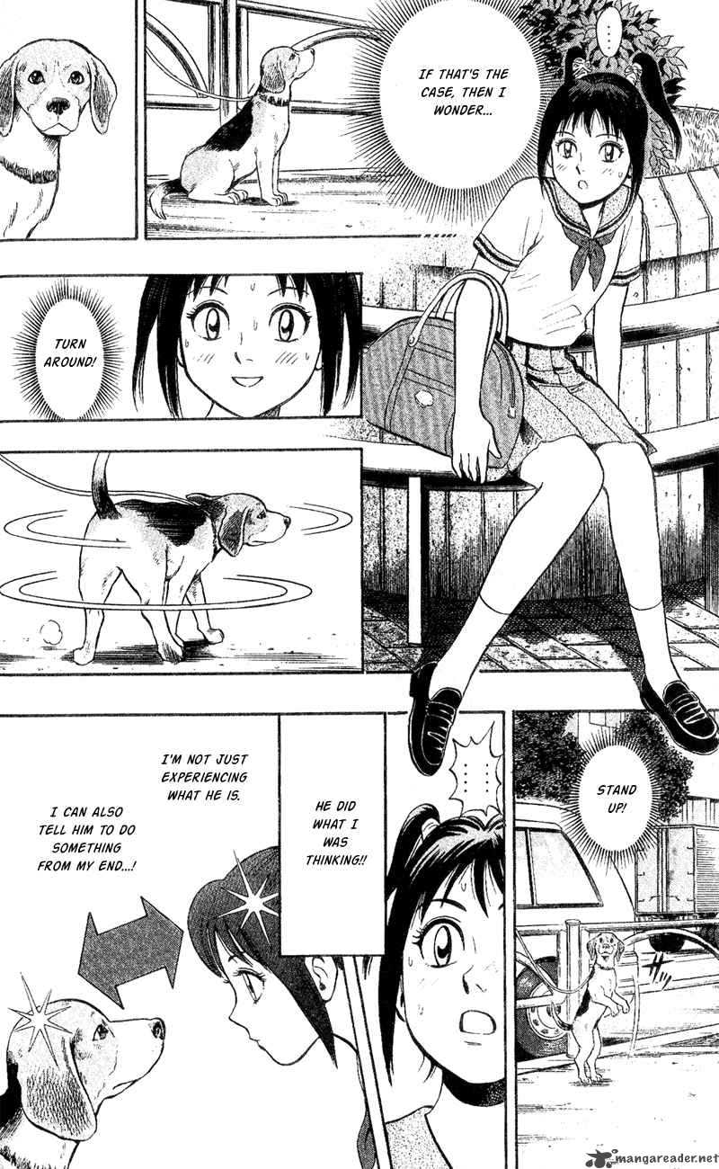 Animal Sense 1 28