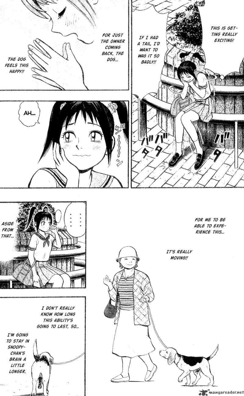 Animal Sense 1 30