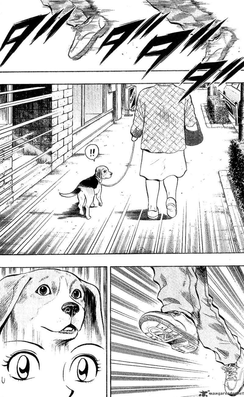 Animal Sense 1 32