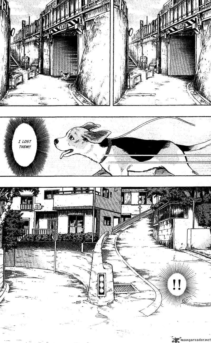 Animal Sense 1 40