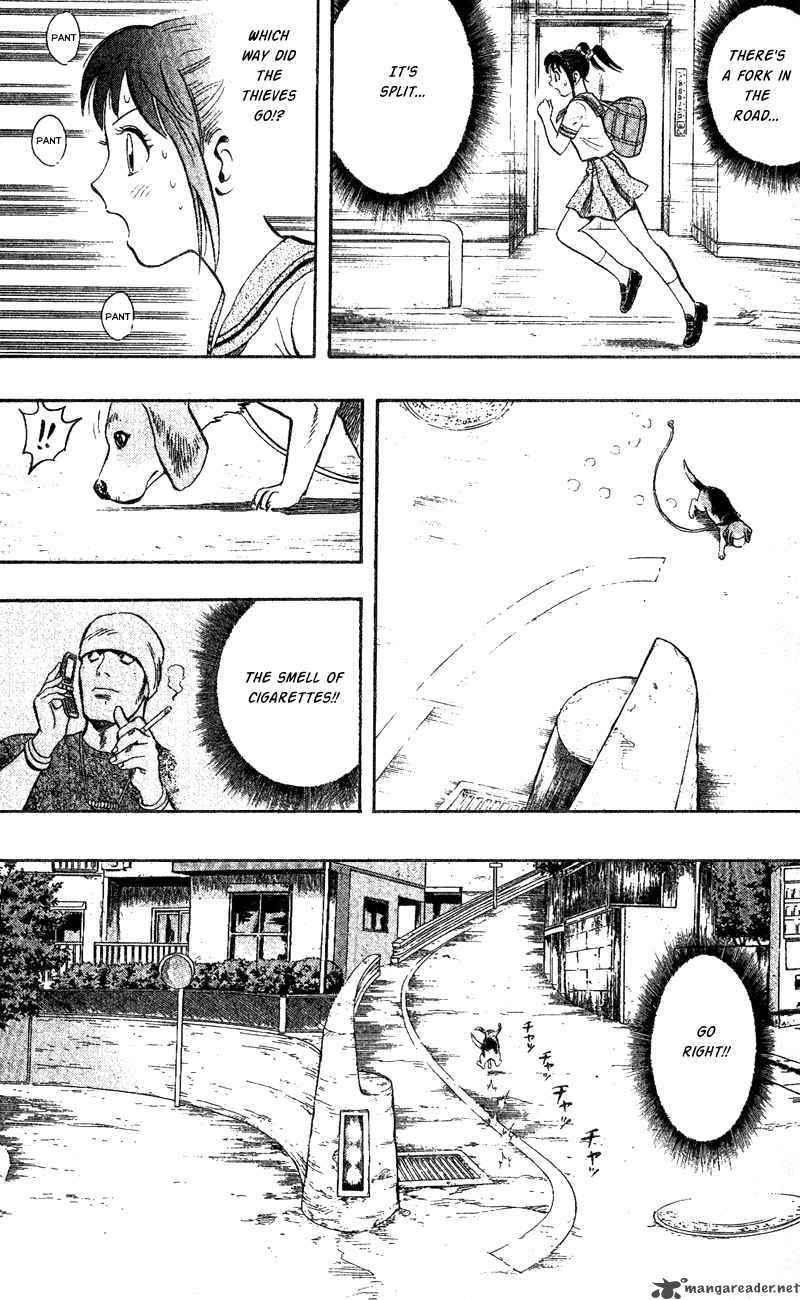 Animal Sense 1 41