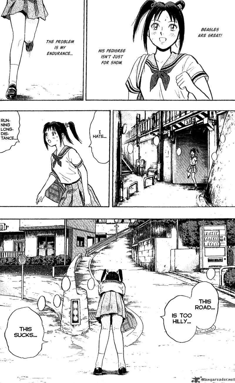 Animal Sense 1 42