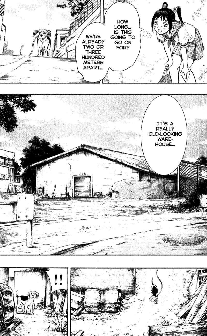 Animal Sense 1 43