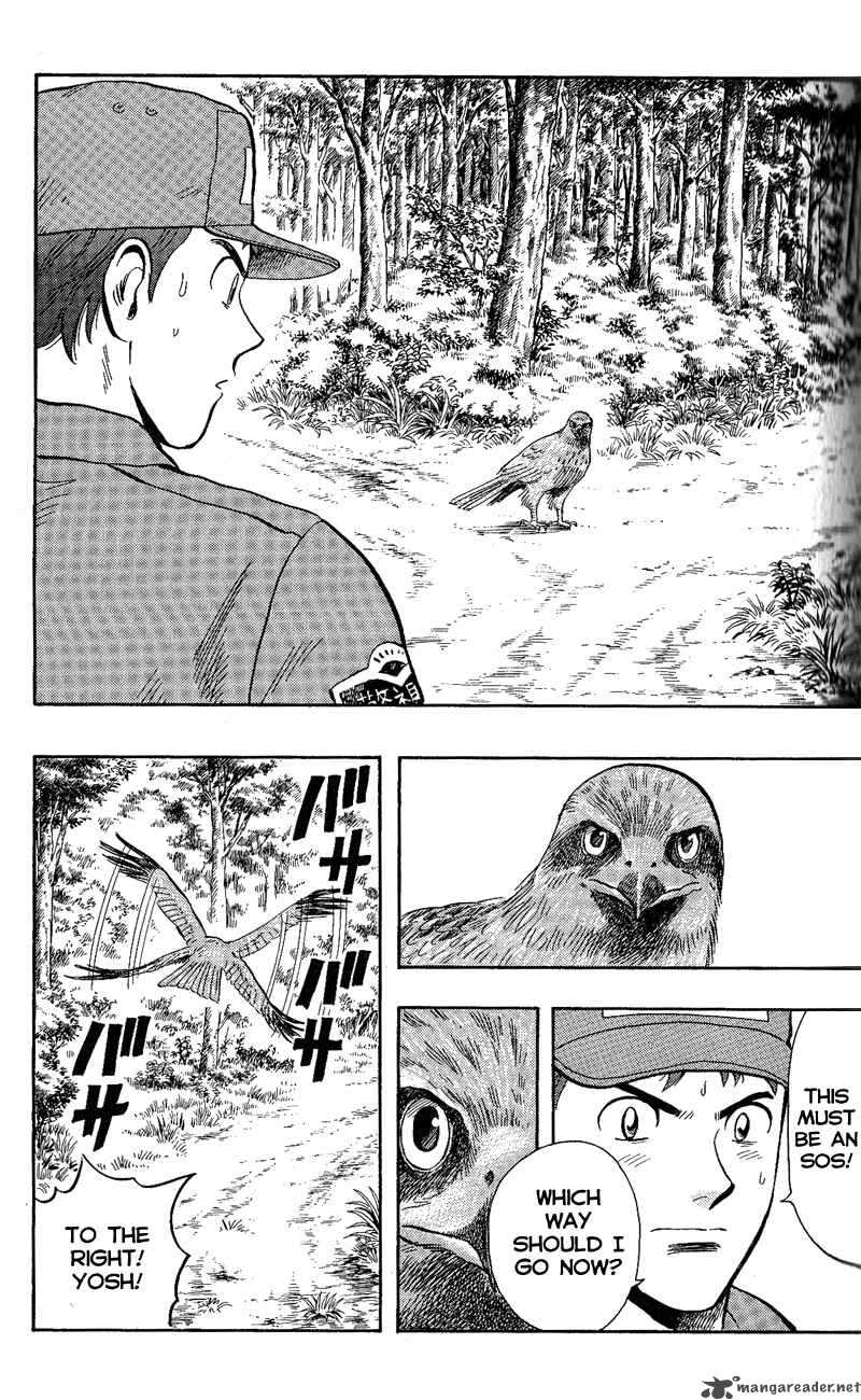 Animal Sense 11 24