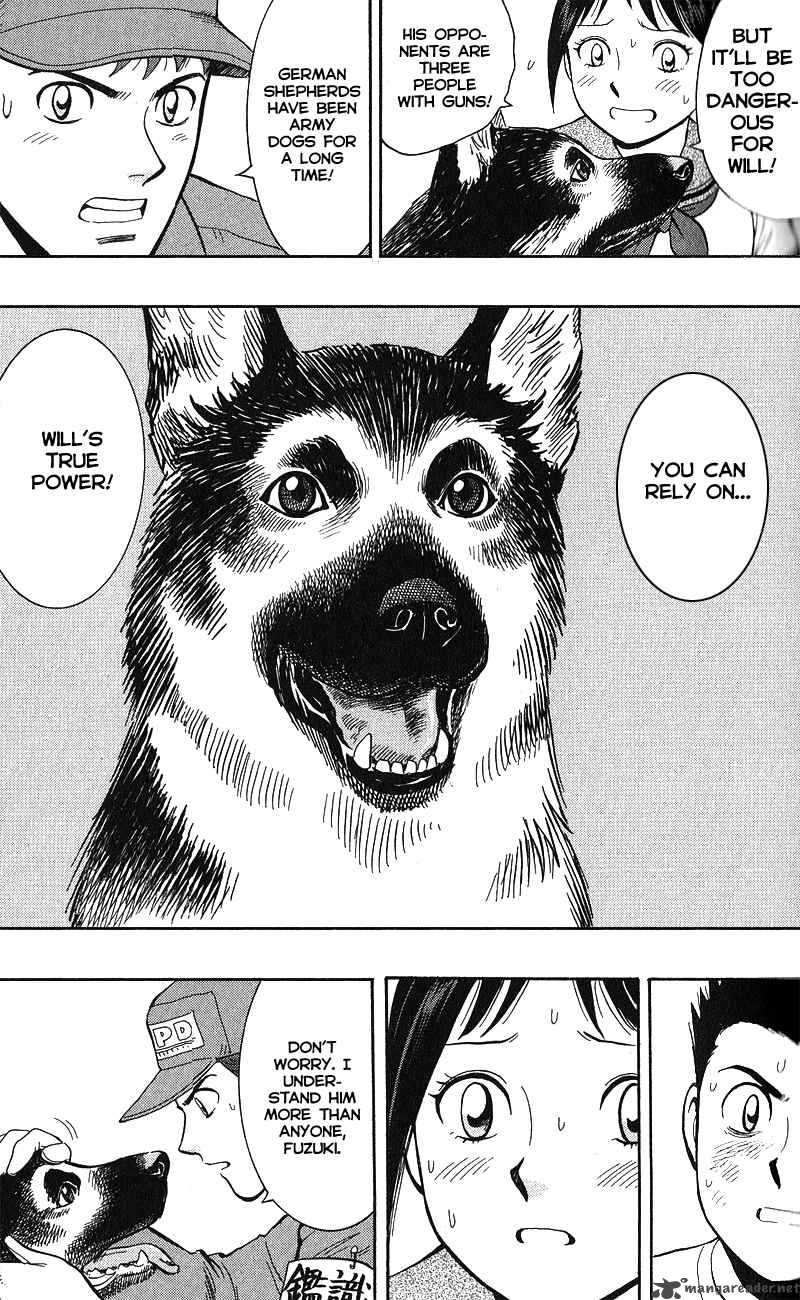 Animal Sense 12 18