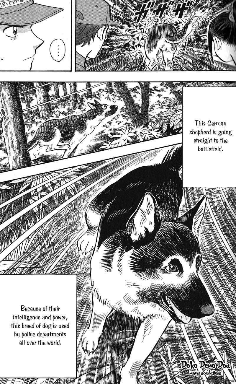 Animal Sense 12 20