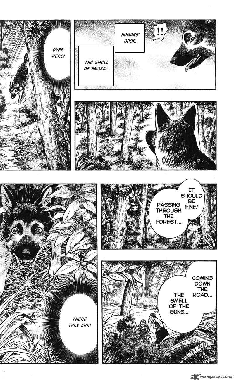 Animal Sense 12 23