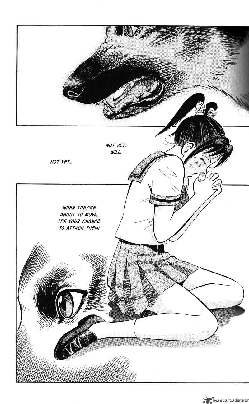 Animal Sense 12 26