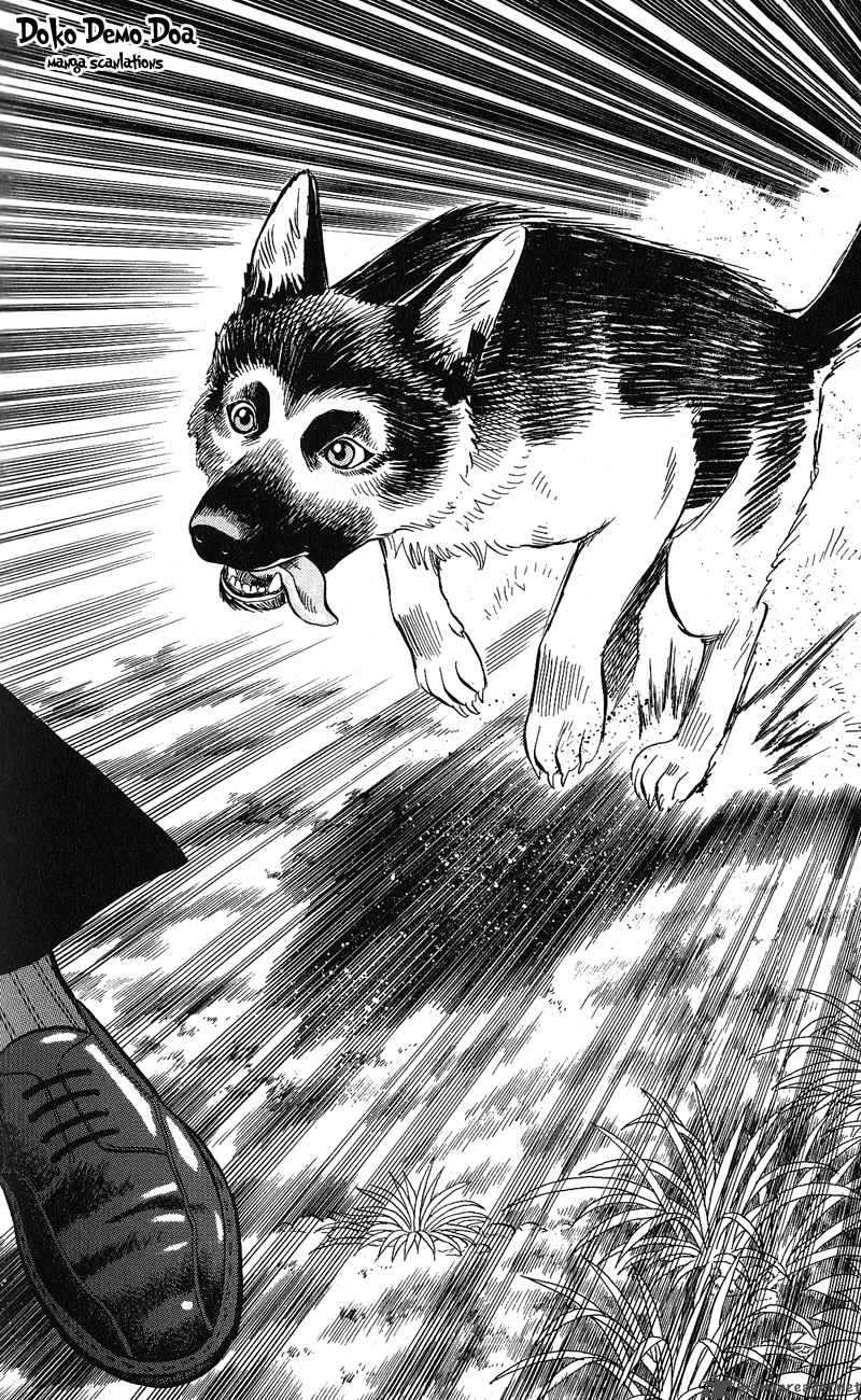 Animal Sense 12 29