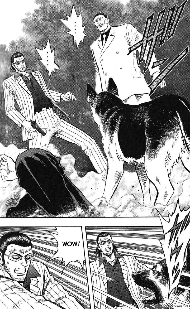 Animal Sense 12 34