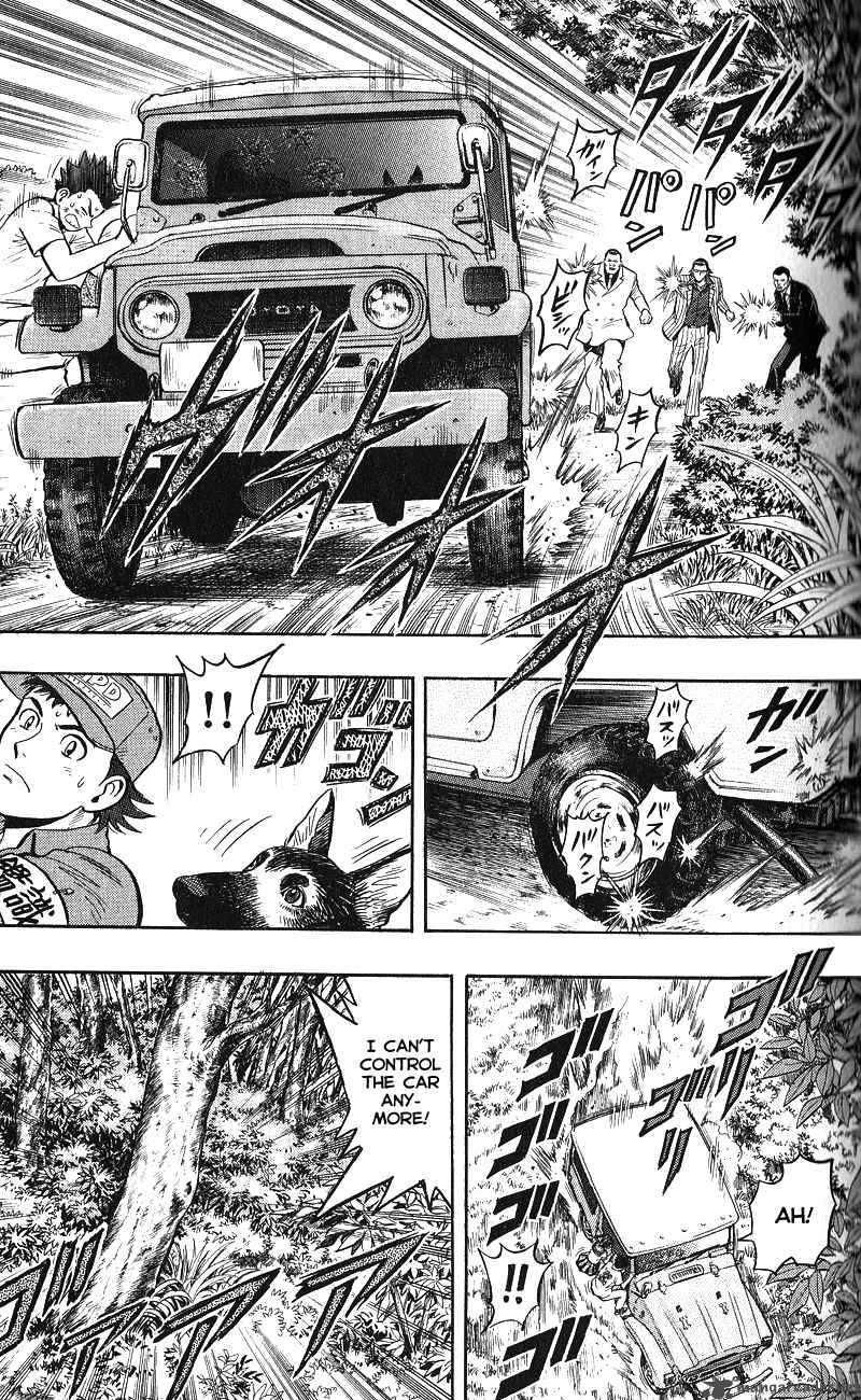 Animal Sense 12 8