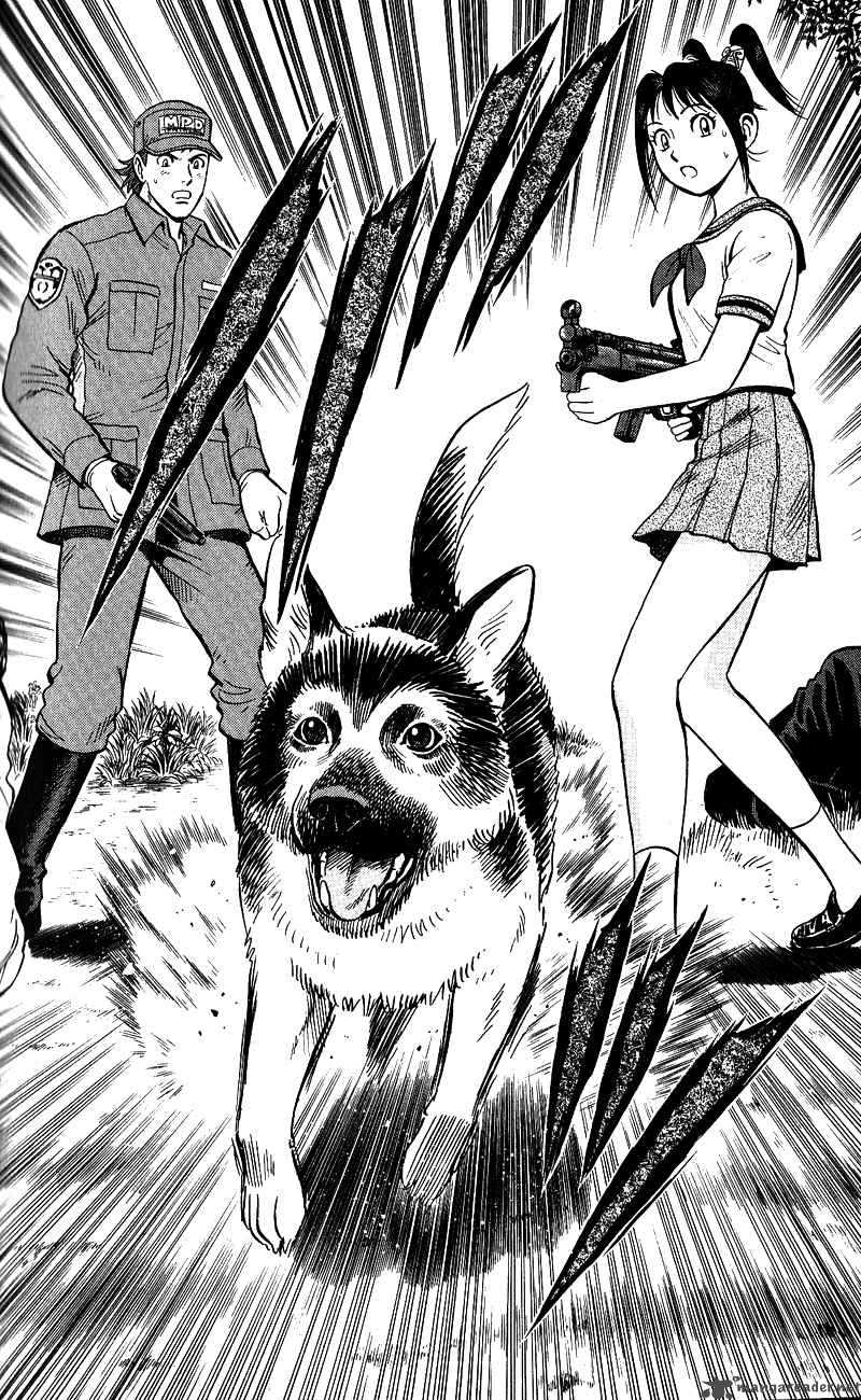 Animal Sense 13 16