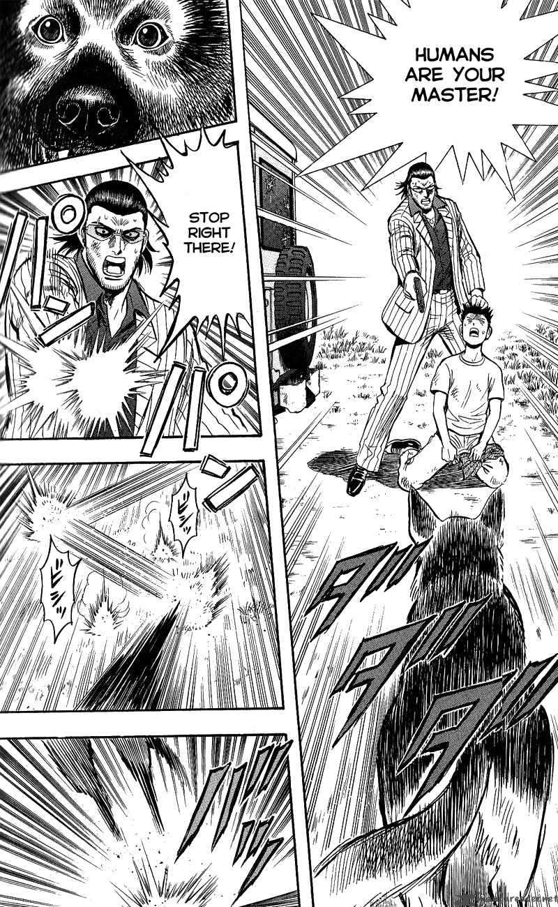 Animal Sense 13 18