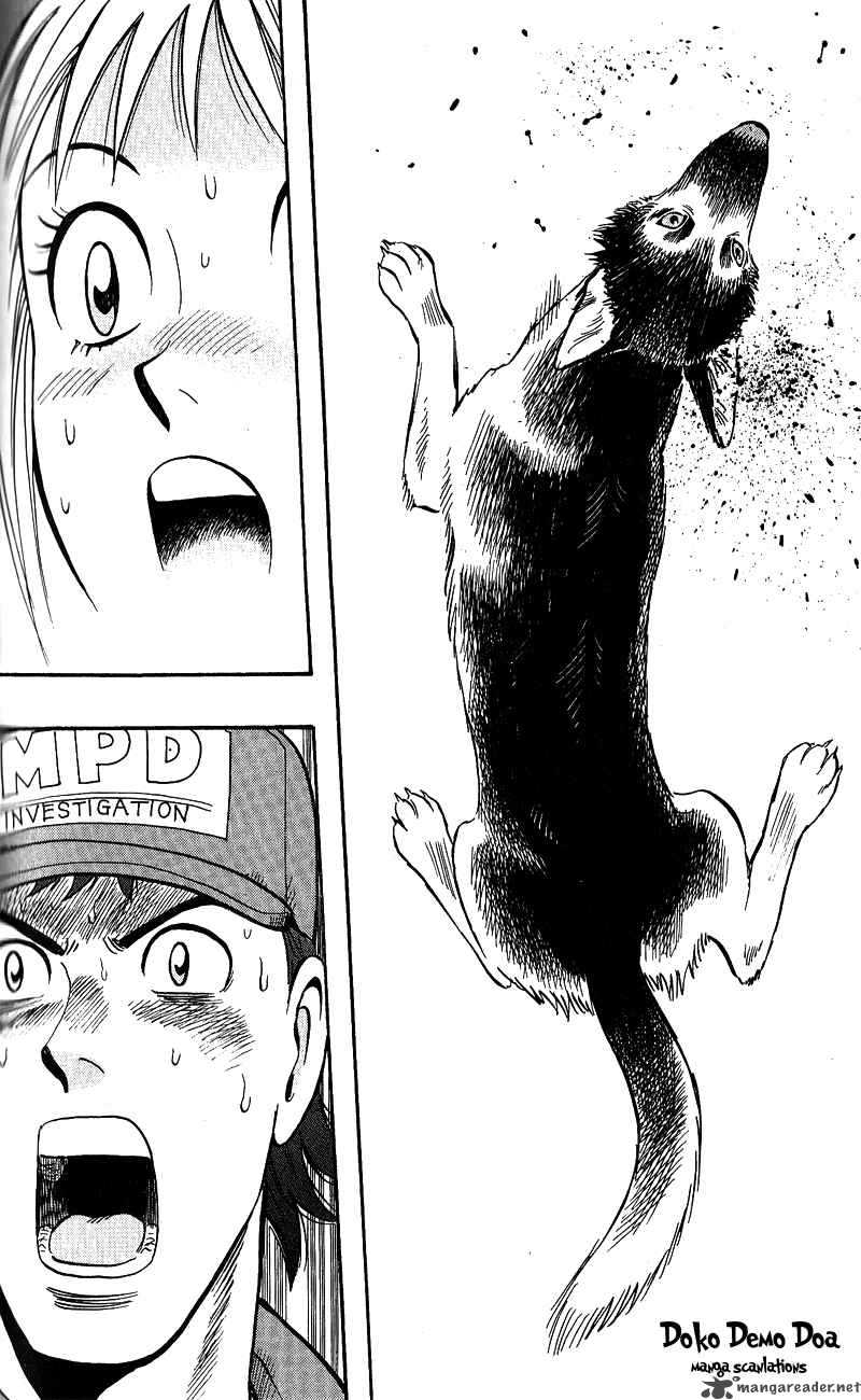 Animal Sense 13 20
