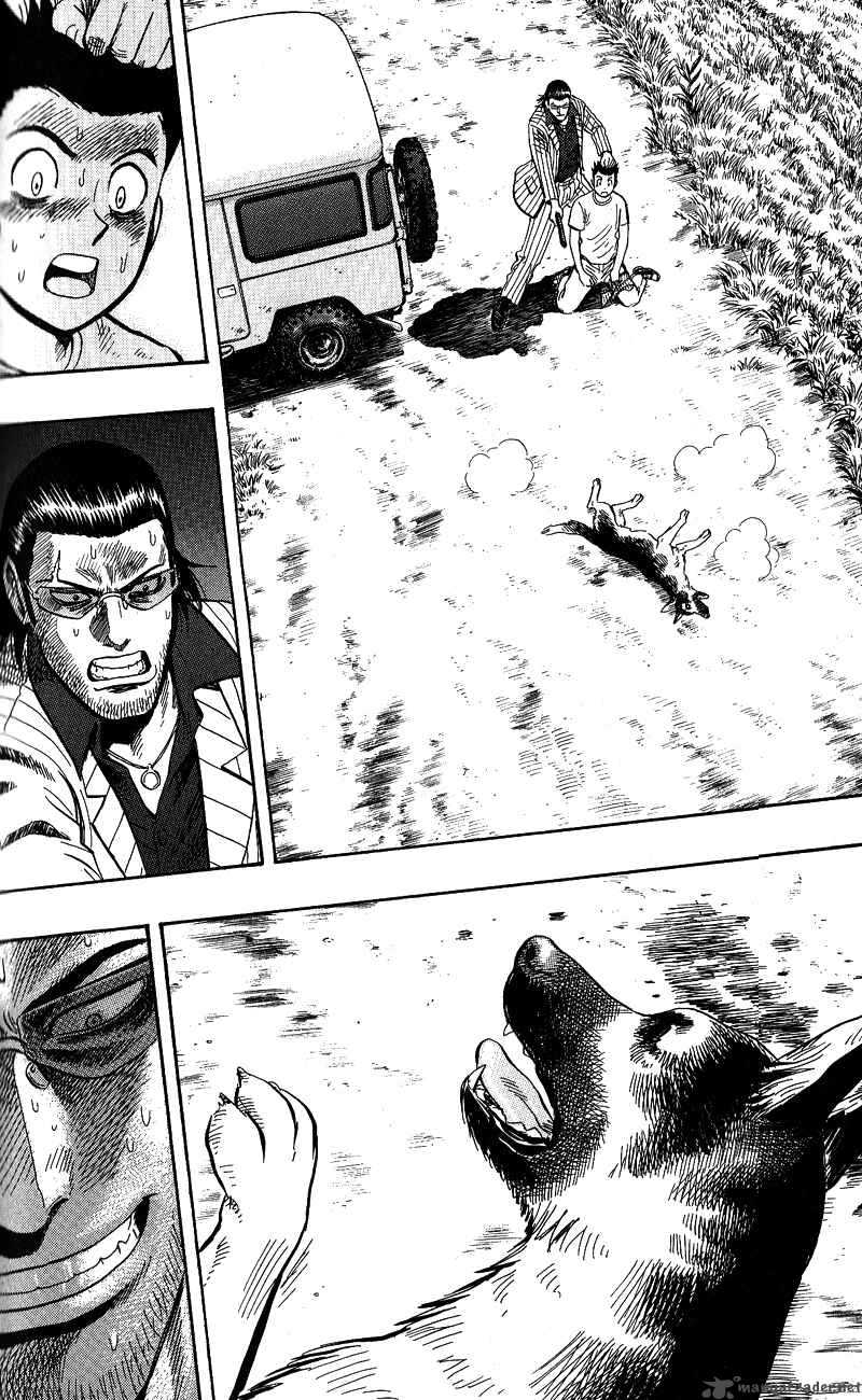 Animal Sense 13 22