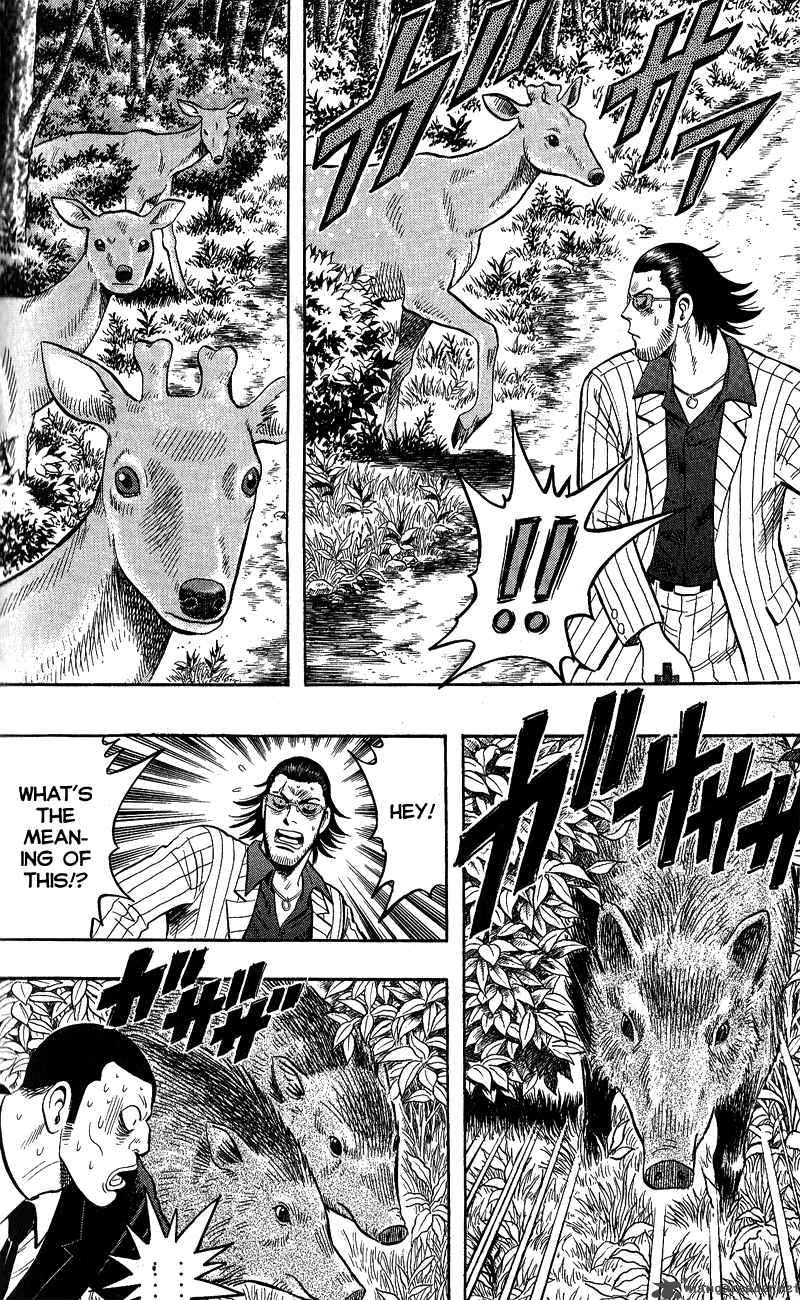 Animal Sense 13 28