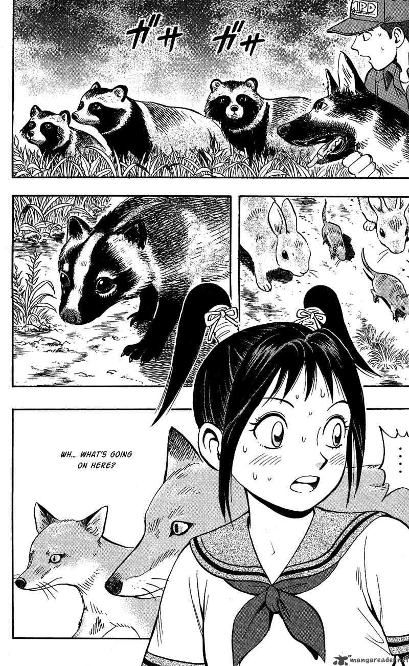 Animal Sense 13 29