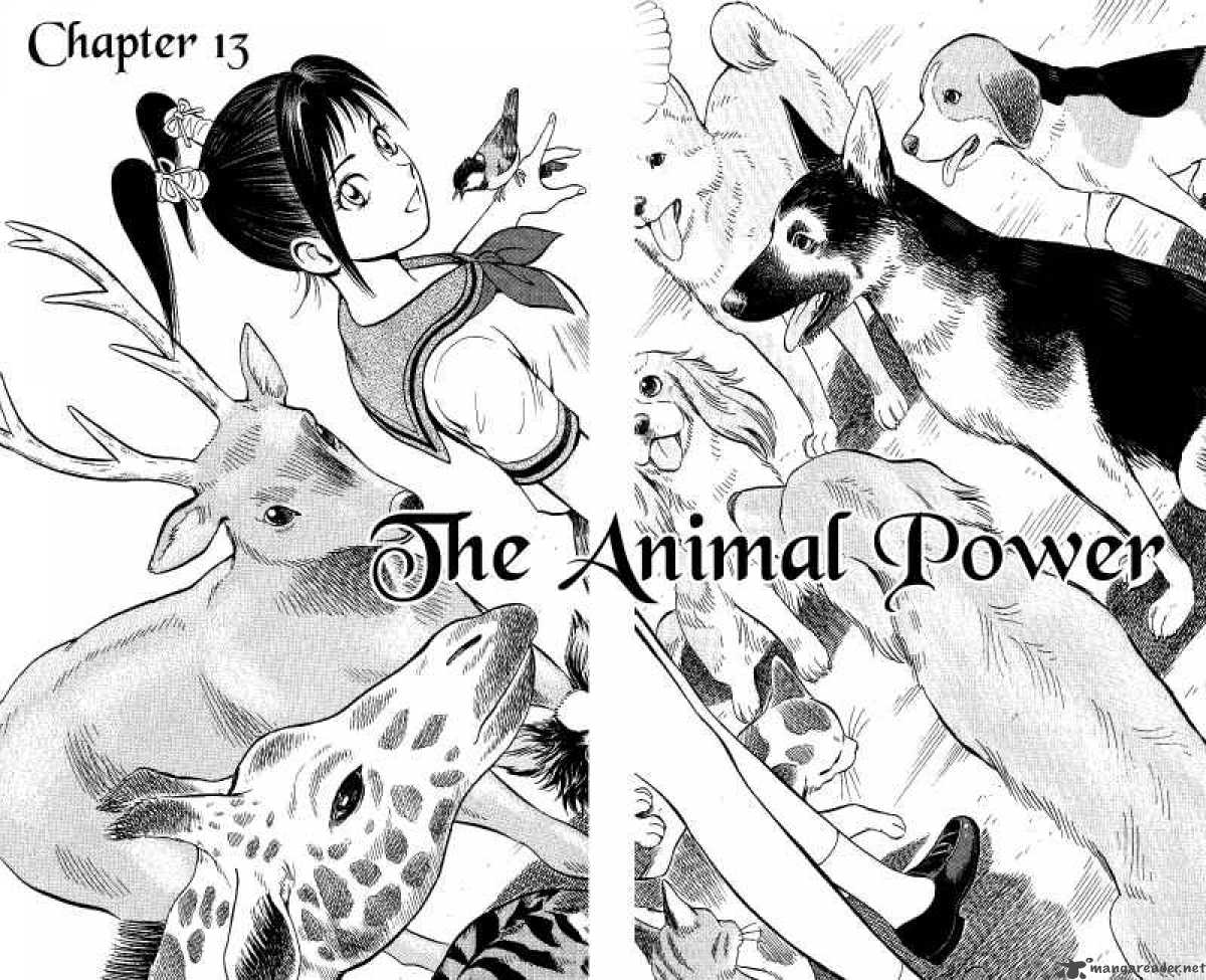 Animal Sense 13 3