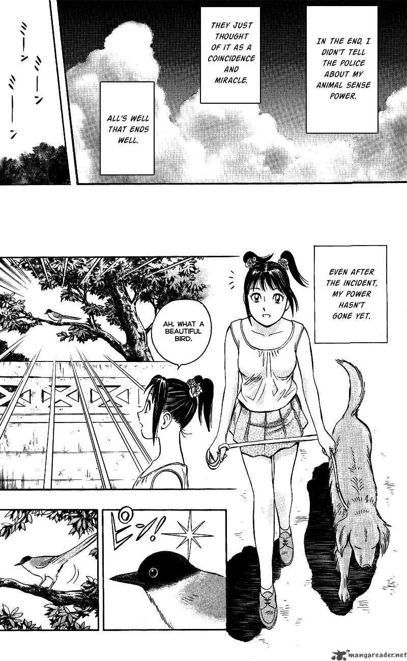Animal Sense 13 36