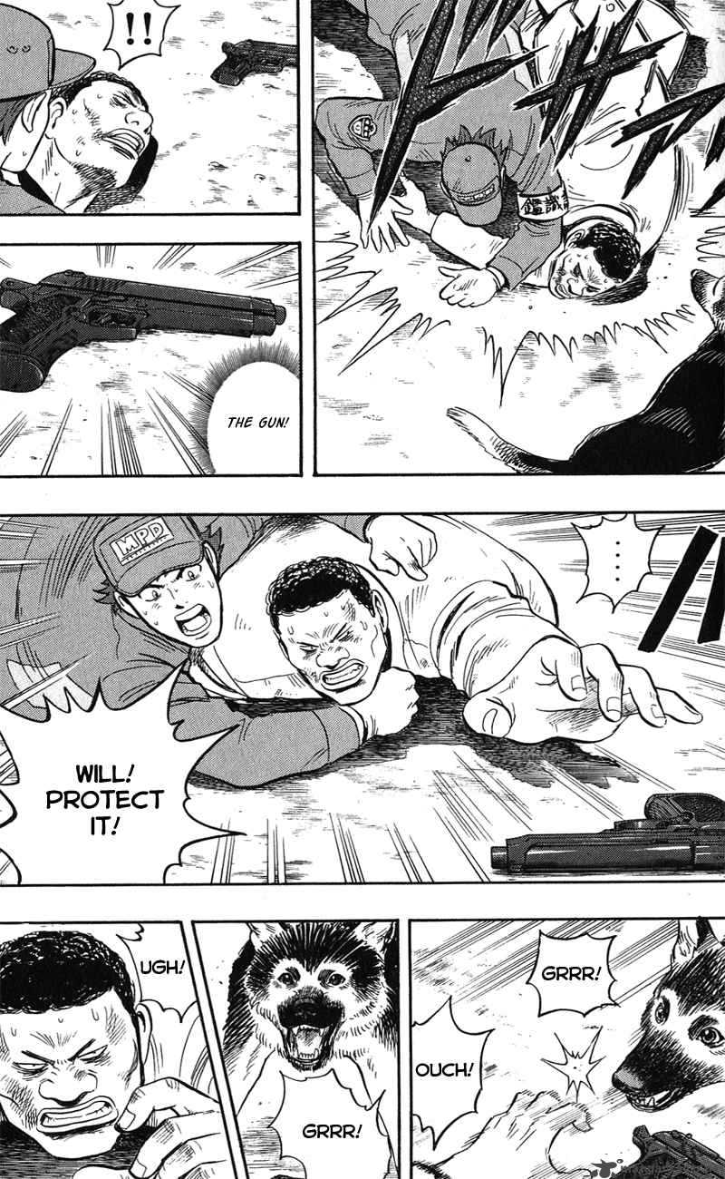 Animal Sense 13 7