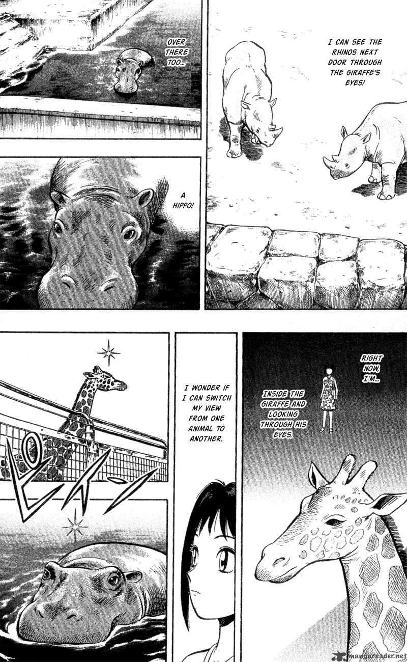 Animal Sense 3 18