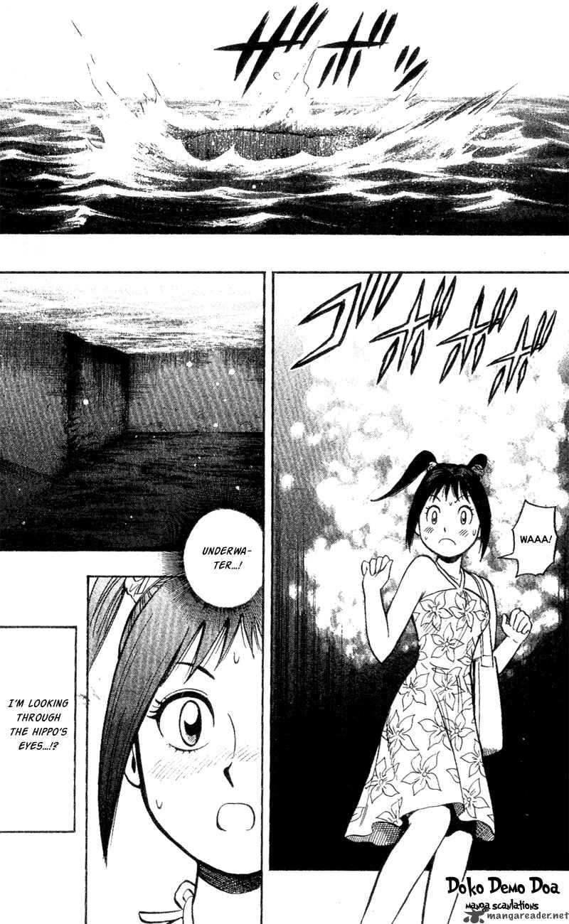 Animal Sense 3 19